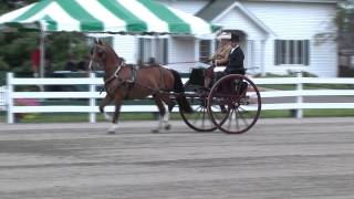 Ladies Single Horse Individual Test's Walnut Hill 2011