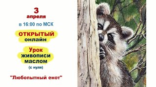 Любопытный енот - картина маслом. Урок живописи от студии АРТуДАР.