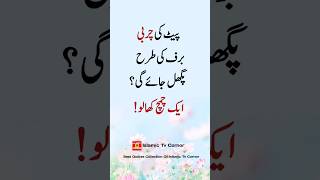 #quotes #aqwalezareeninurdu