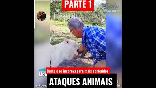 ATAQUES ANIMAIS PARTE 1