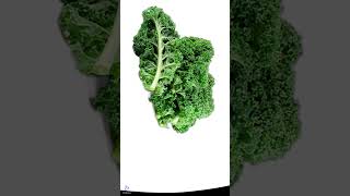 KALE | #biodiversity #plants #agriculture #agricultura #agro #biology #taxonomic #shorts