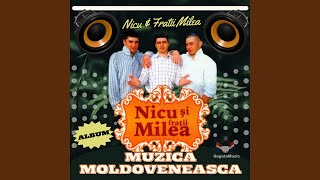 Colaj, Muzica moldoveneasca cu Nicu & Fratii Milea