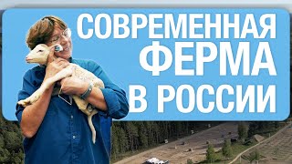 Кто живёт на ферме? Экскурсия от главного зоотехника | Гастродача Вселуг