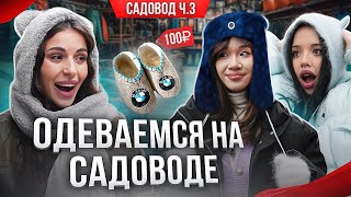 ОДЕЛИСЬ НА САДОВОДЕ НА ВСЕ ДЕНЬГИ: АДЕЛЬ, ЛУНАКОМ, ЧАНА