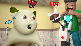 ROBLOX Brookhaven 🏡RP - FUNNY MOMENTS : CAT VS ROBOCAT War - Roblox Super