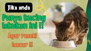 Jika anda punya kucing lakukan ini