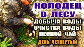 КОЛОДЕЦ СВОИМИ РУКАМИ В ЛЕСУ.  Отстойник для воды с еловым фильтром. Лесной чай. Бушкрафт.