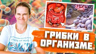 КАК ВЫВЕСТИ ШЛАКИ И ТОКСИНЫ БЕСПЛАТНО! Очищение организма в домашних условиях!