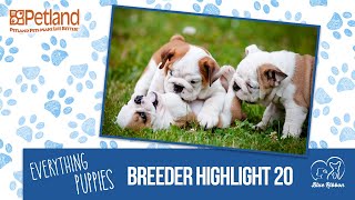 Everything Puppies - Petland Breeder Highlight 20 (2019)