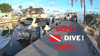 Elbow Reef Dive in Key Largo, FL With Quiescence Diving Services