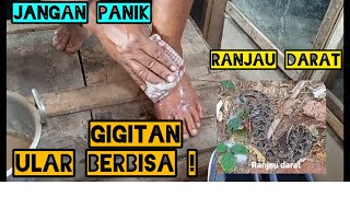 N4n4h dan bisa ular keluar bercampur air !!