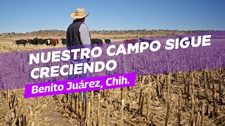 Damos resultados fortaleciendo a productores del campo.