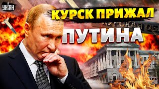 Курск прижал Путина! Москва вызывает Киев на ПЕРЕГОВОРЫ: условия и обмен