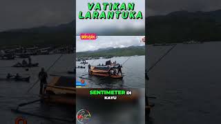 Semana Santa Di Vatikan Larantuka #short #inspirasikatolik #paskah2024 #semanasanta2024