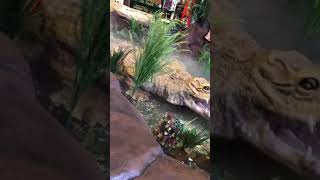 RAINFOREST CAFE, Texas, Manha Muskaan Mahmood (personal/home video) 1780