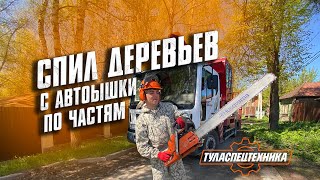 Спилить дерево Тула и обл. +7(953)958-18-44 ТулаСпецТехника