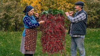 Winter Preparation: Wild Barberry Harvesting and Preservation