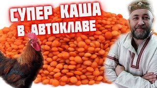 КАША с МЯСОм в АВТОКЛАВе. Красная чечевица с курицей в автоклаве. Вкусно и полезно.