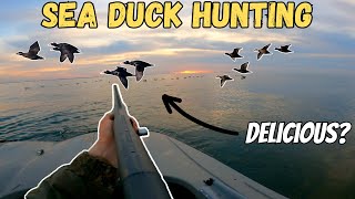 Layout Duck Hunting For SEA DUCKS! (Catch Clean Cook)