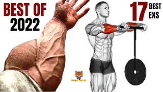 17 BEST Exercises for Bigger Forearms at Gym