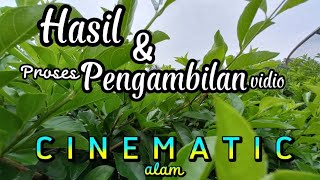 Hasil Dan Proses Pengambilan Gambar Vidio Cinematic ➡ Tumbuhan Dari Alam Pedesaan.