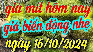 giá mít hôm nay ngày 16/10/2024