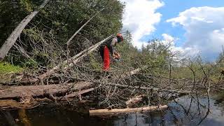 Chainsaw chaps and life jackets?