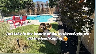 Just take in the beauty of the backyard, yes we did the landscaping 😍 @thatlawndude