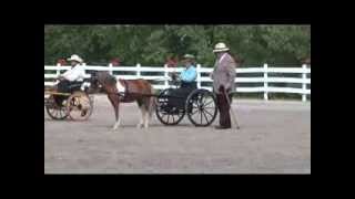 Small Pony Reinsmanship Section "A" Walnut Hill 2013