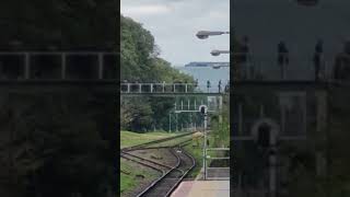 Simpatizantes de Platense en puente peatonal sobre línea Belgrano Norte, Florida, Buenos Aires