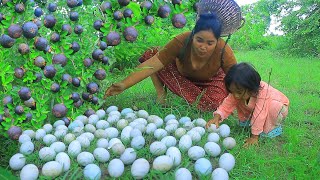 survival in the rainforest - Found egg and Mangosteen in forest - Cooking soup egg Eating delicious