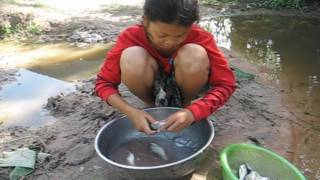 Wash Fish to Make Food - Cutting Fish Video