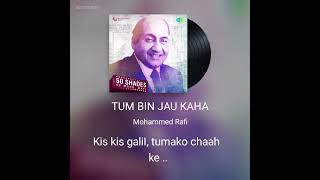 Tum bin jaun kahan (Mohammad Rafi - Pyar Ka Mausam)