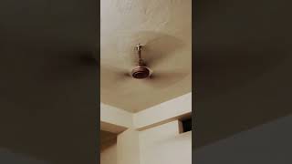 Ceiling fan setup karne ke bad😀😀👍👍👍👍