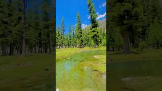 #shortfeed #swatview #nature #beautifulswat #shorts #mountains #uk