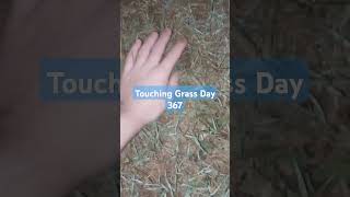 Touching Grass Day 367