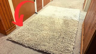 My One Problem with the Safavieh Shag Area Rug