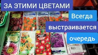 Всегда выращиваю цветы невероятной красоты, Многолетние и Однолетние цветы для сада