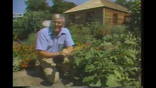 The Victory Garden with Bob Thomson - Eggplant and Victory Garden Contest Finalists