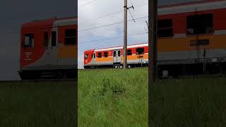 EN57 PolRegio #subscribe #like #train #rail