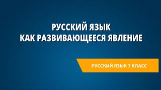 Русский язык как развивающееся явление