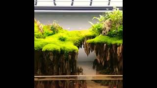 Amazing Incredible scape #scape #shorts