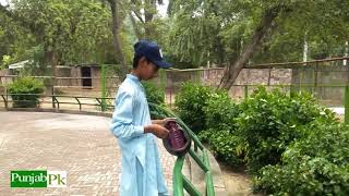 Lahore Zoo Visit With Younger Brother