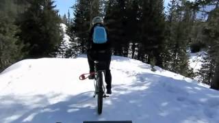 Alta Val Pusteria - discesa da Malga Nemes in MTB su neve