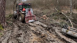 Ťažba hrubších stromov, opäť v močiari cez rozbahnený terén, Stihl ms 500i, Amles, Forestwork,Zetor