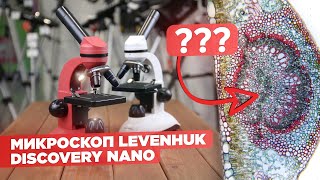 Смотрим в школьный микроскоп Levenhuk Discovery Nano | Обзор и тест