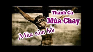 Thánh Ca Dành Cho Mùa Chay 2018 - Mùa Sám Hối Ăn Năn