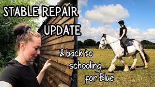 Updates on Blues stable and a lovely schooling session / Equestrian VLOG