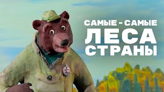 Мульти-Россия - Самые самые леса страны 🌲