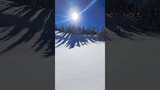 That Colorado sugar powder!!         #snow #snowstorm #snowfall #snowmobile #snowmobiling #colorado